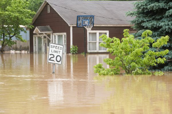 Cost of Storm Restoration Service in Springfield