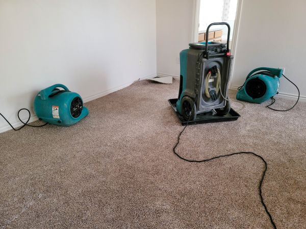 Cost of Flood Damage Repair in Springfield