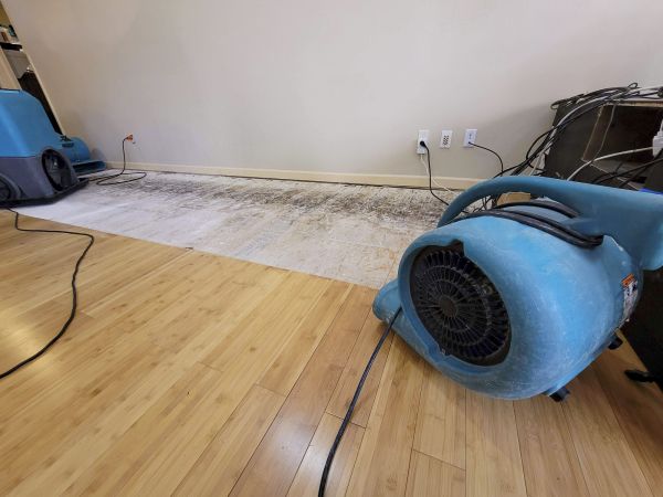 Cost of Water Damage Mitigation in Springfield
