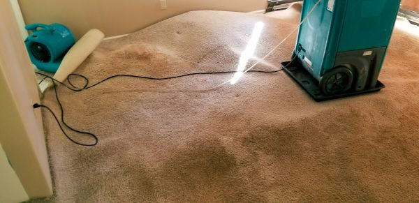 Cost of Flood Damage Cleanup in Springfield