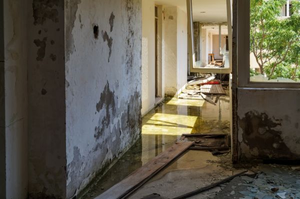 Cost of Water Removal Service in Springfield