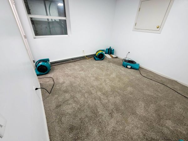 Flood Restoration Service in Springfield