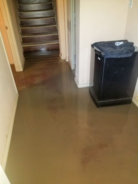 Cost of Emergency Water Removal in Springfield