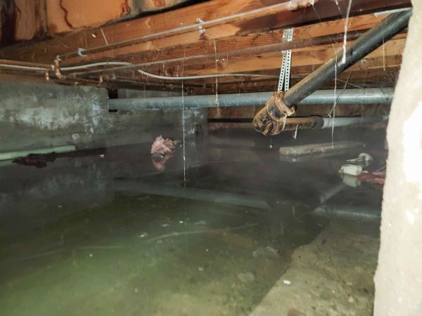 Cost of Crawl Space Drying in Springfield