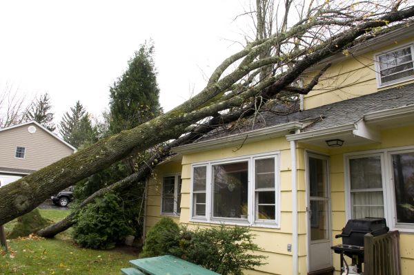 Hurricane Damage Repair in Springfield