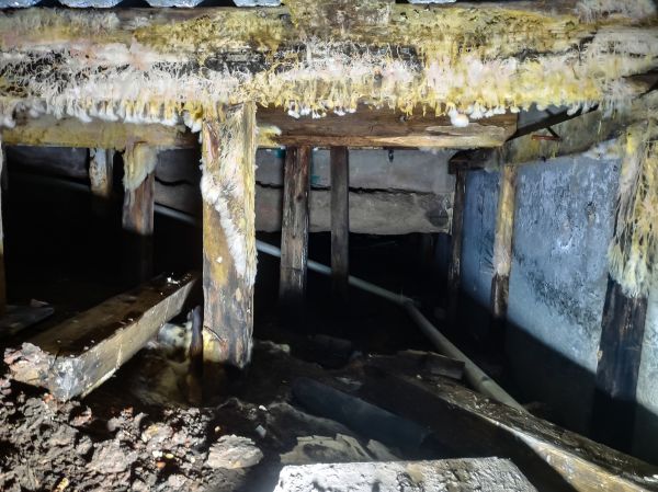 Crawlspace Mold Remediation